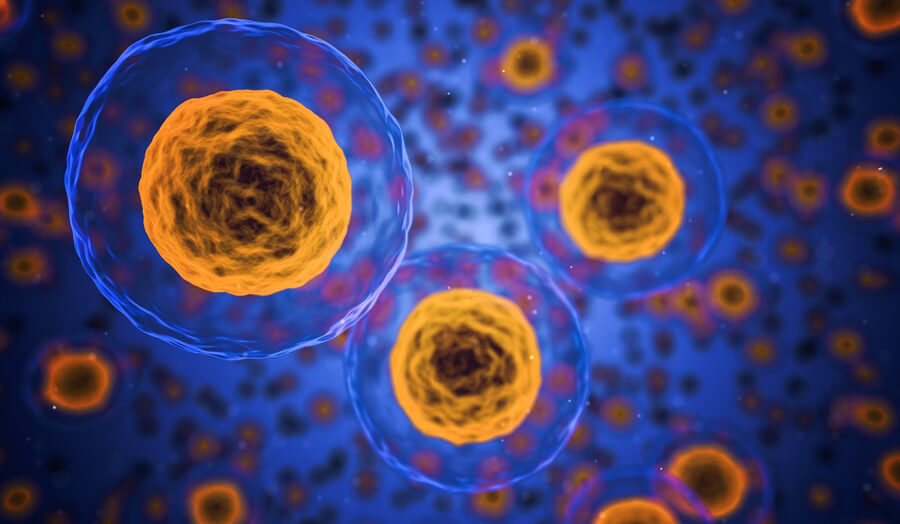 Human medical cells