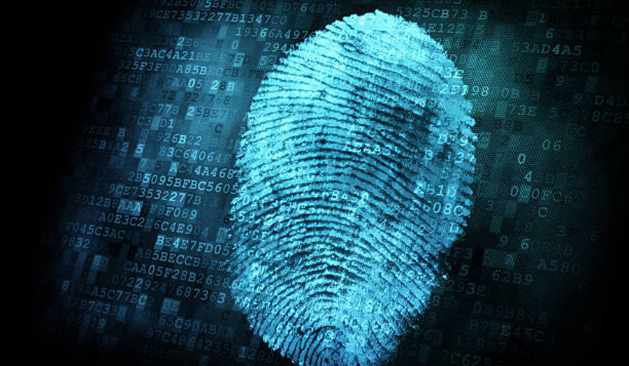 Image of a fingerprint