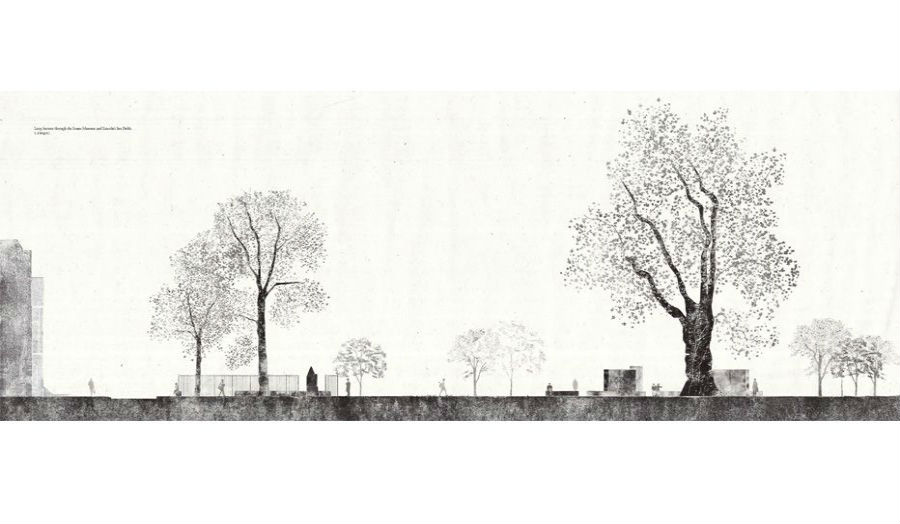 Long section through Lincolns Inn Fields