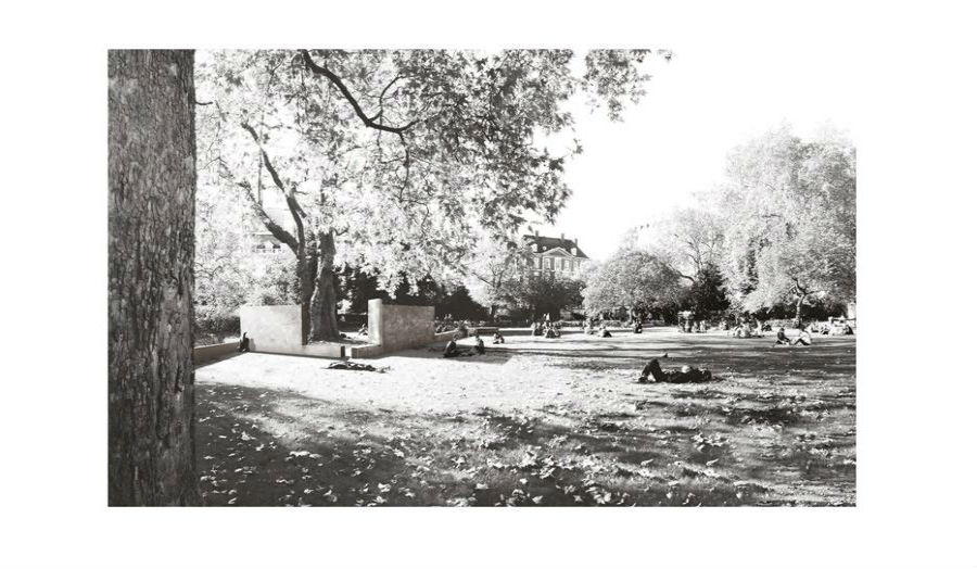 Proposed view
