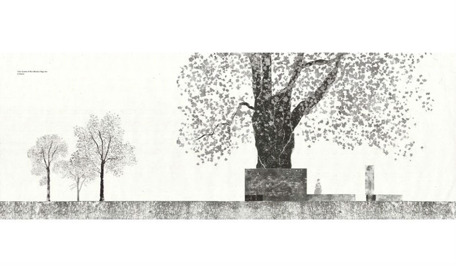Section of proposal
