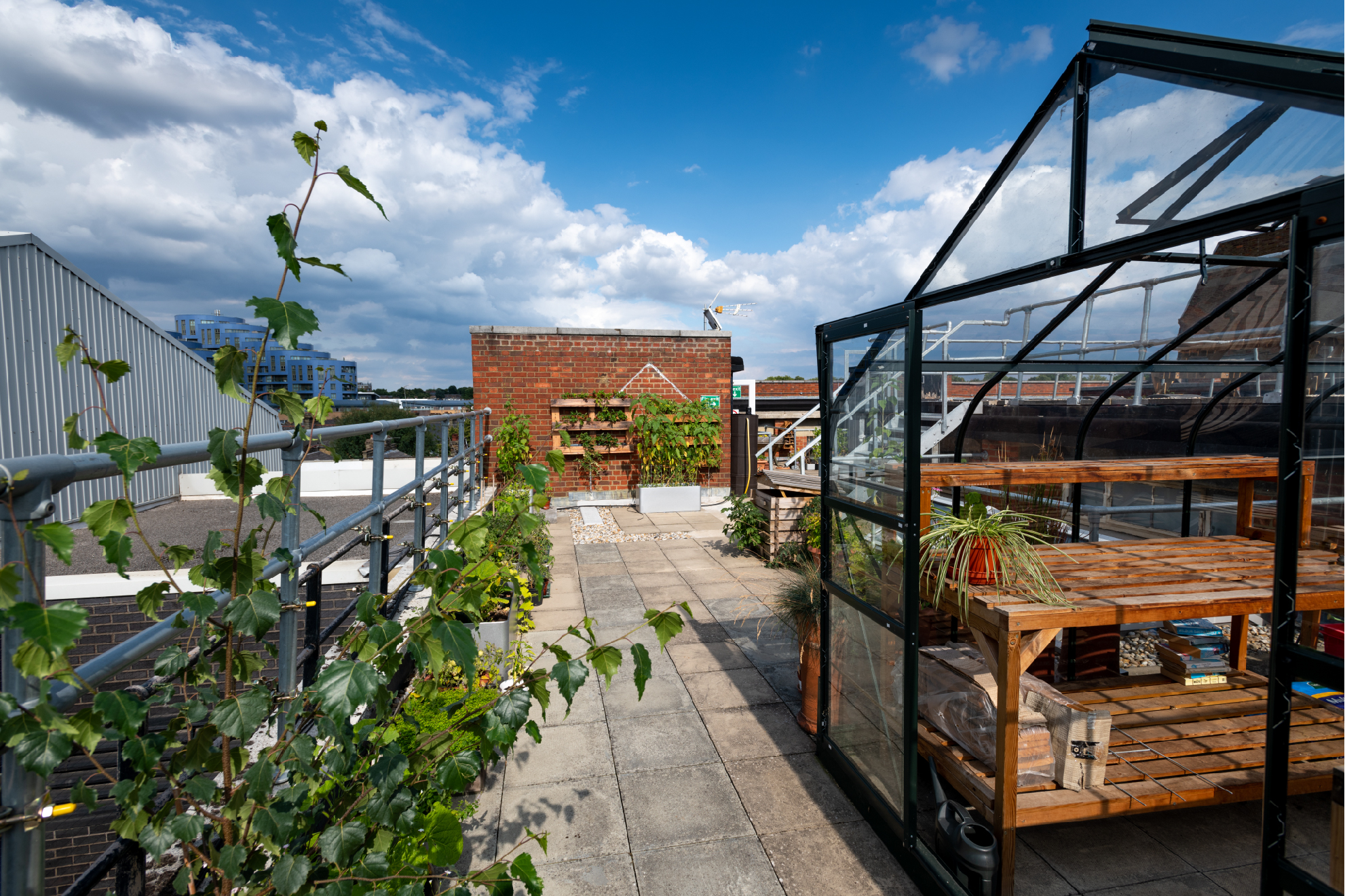 Roof Garden Holloway Road Campus