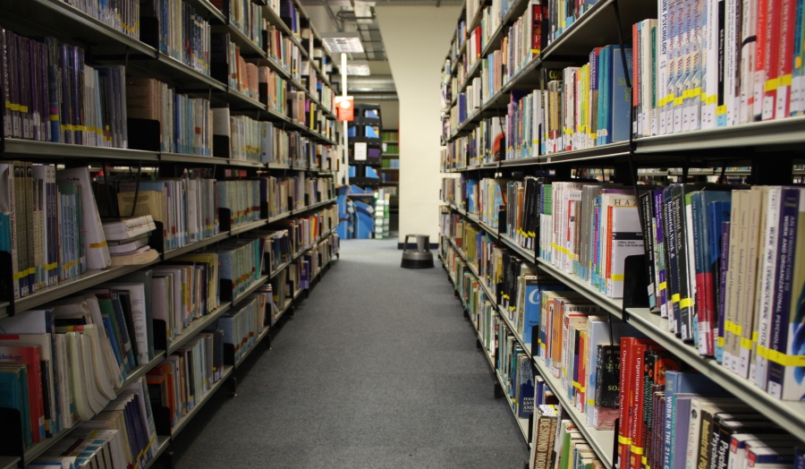 Book Shelves 
