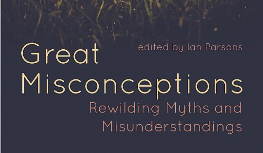 a book cover