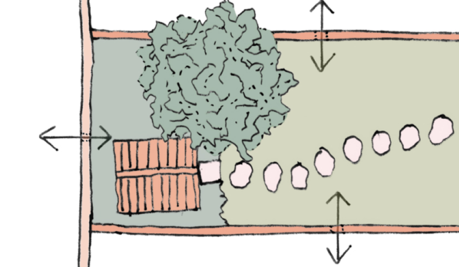 drawing of a garden